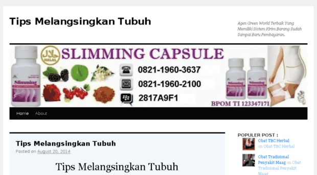 tipsmelangsingkantubuh229.wordpress.com