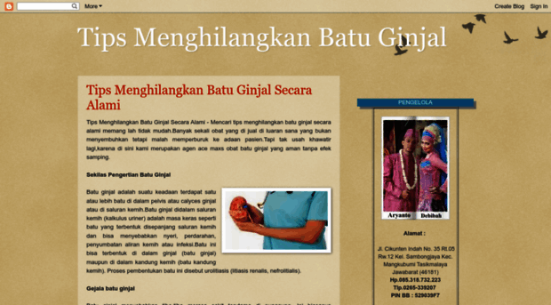 tipsmenghilangkanbatuginjal.blogspot.com