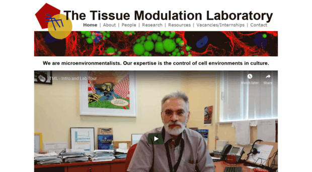 tissuemodulation.com
