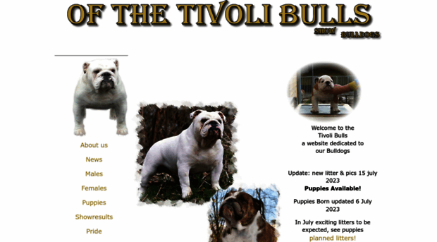 tivolibulls.com