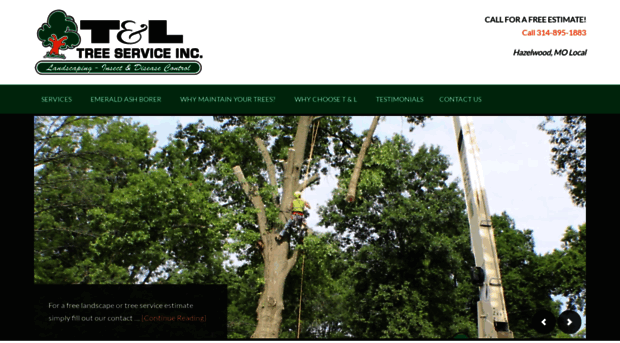 tltreeservice.com