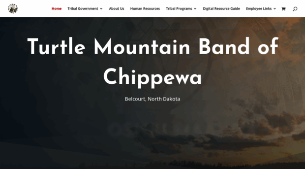 tmchippewa.com