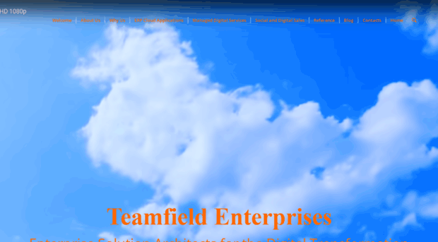 tmfldgroup.com