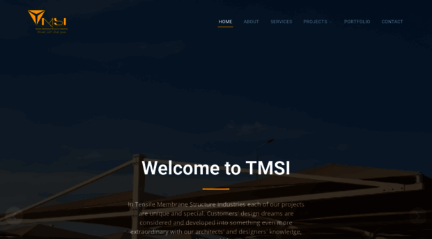 tmsi.co