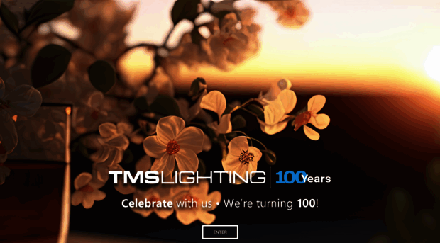 tmslighting.com