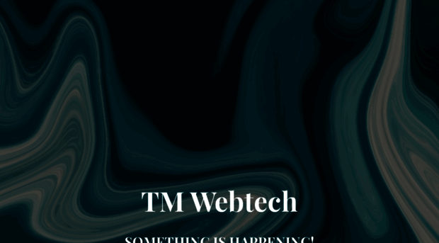 tmwebtech.com