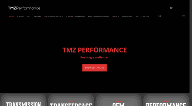 tmzperformance.com