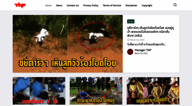 tnp-news.com