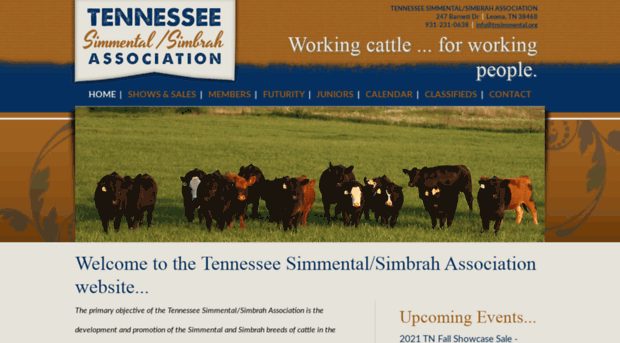 tnsimmental.org