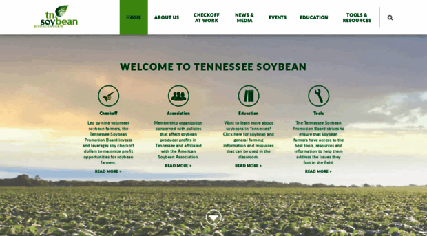 tnsoybeans.org