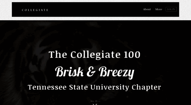 tnstate100.org