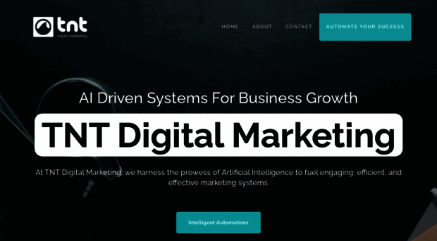 tntdigitalmarketing.com