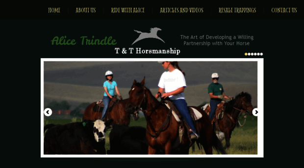 tnthorsemanship.com