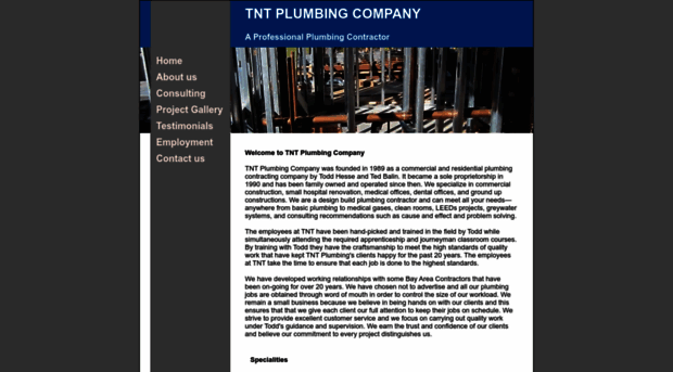 tntplumbing.com