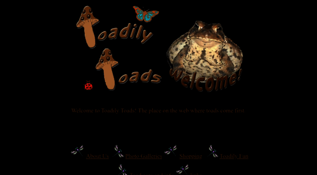 toadilytoads.com