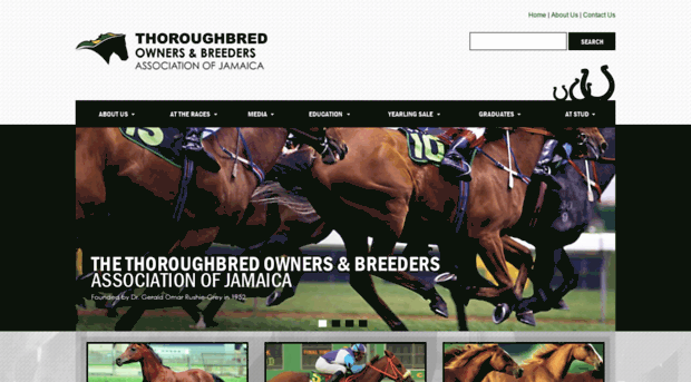 tobajamaica.com