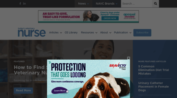 todaysveterinarynurse.com