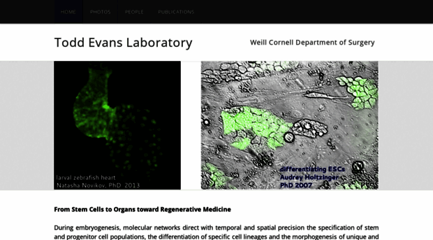 toddevanslab.net