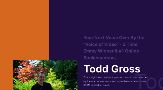 toddgross.com