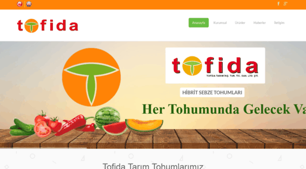 tofida.com