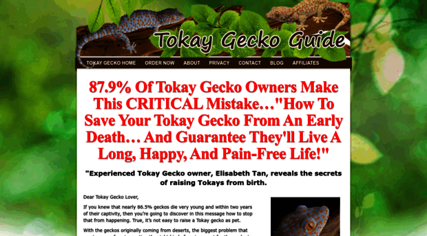 tokaygeckoguide.com