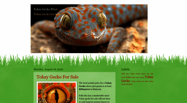 tokaygeckoprice.blogspot.com