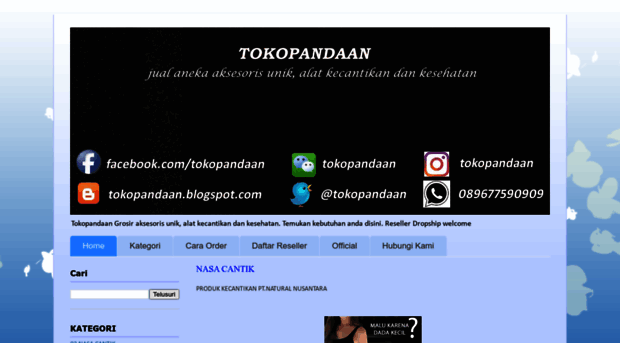 tokopandaan.blogspot.com