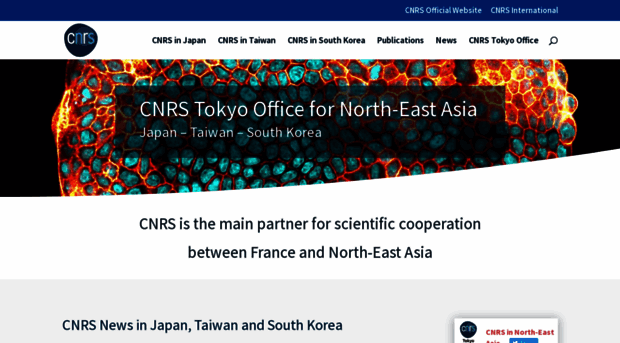 tokyo.cnrs.fr