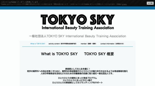 tokyosky.net