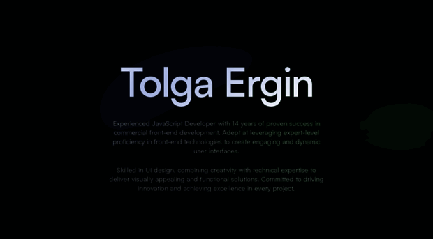 tolgaergin.com