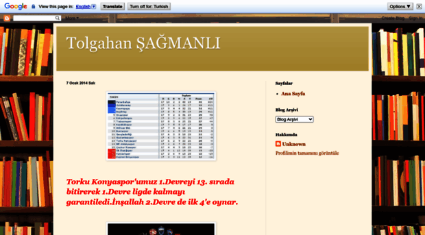 tolgahansagmanli.blogspot.com.tr
