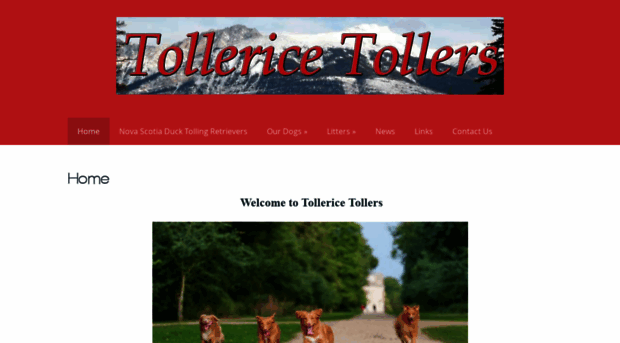 tollerice.co.uk