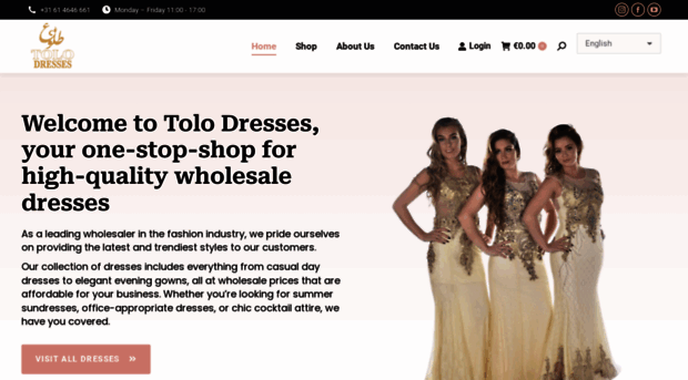 tolodresses.com