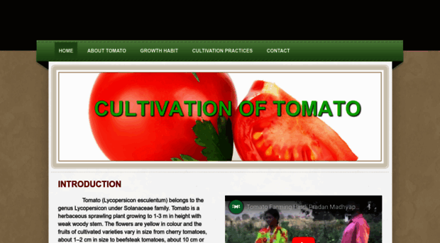 tomato118.weebly.com