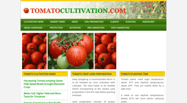 tomatocultivation.com