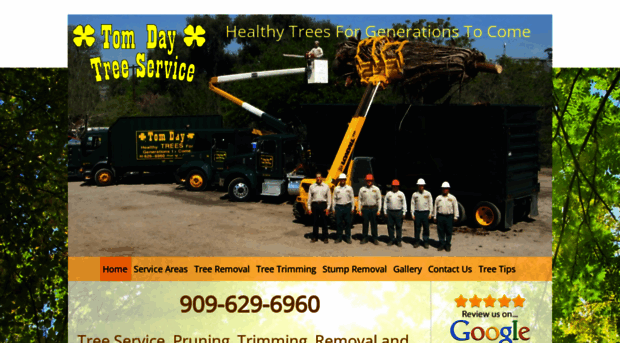 tomdaytreeservice.com