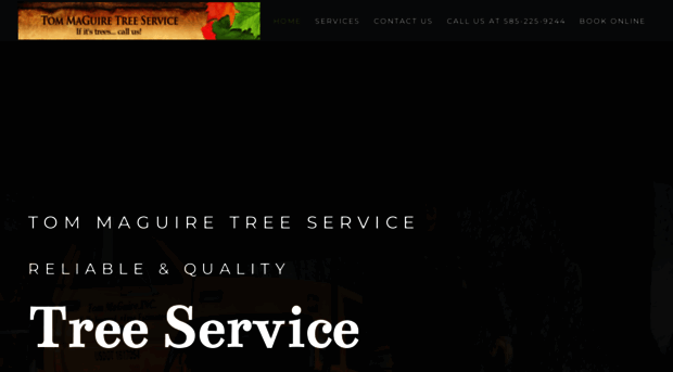 tommaguiretreeservice.com