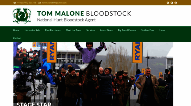 tommalonebloodstock.com