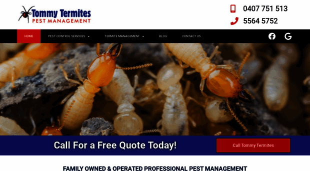 tommytermites.com.au