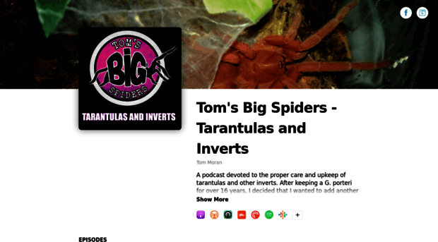 tomsbigspiders.buzzsprout.com