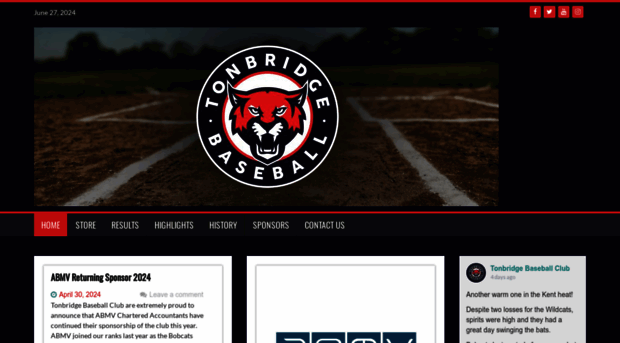 tonbridgebaseball.com