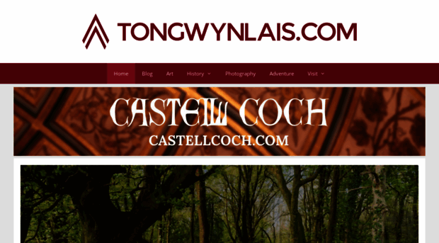 tongwynlais.com