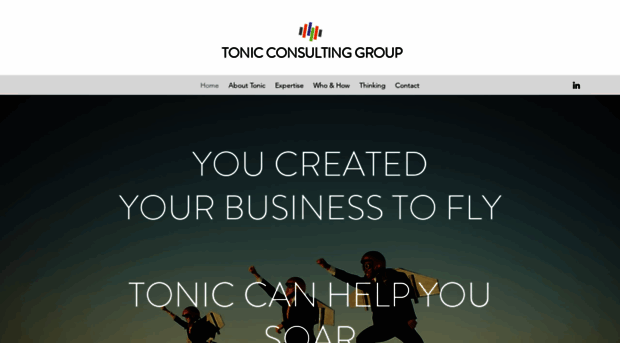 tonicconsultinggroup.com