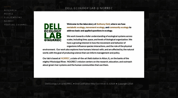 tony-dell.squarespace.com