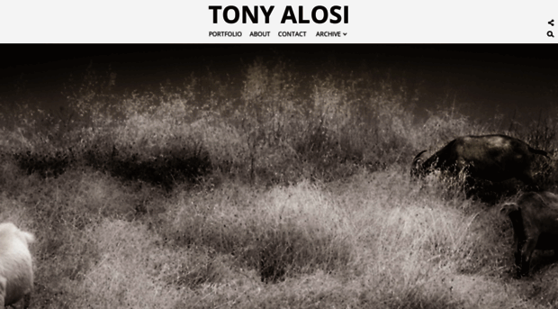 tonyalosi.com