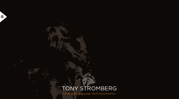 tonystromberg.com