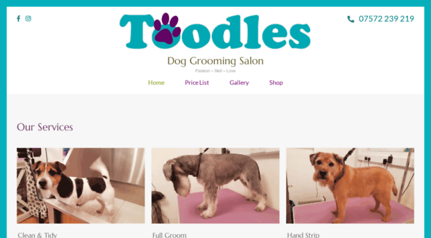toodles.info