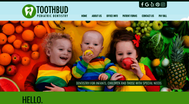 toothbudpediatricdentistry.com