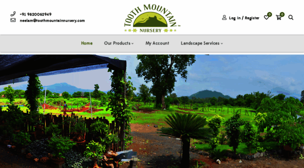 toothmountainnursery.com