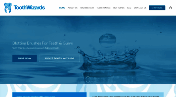 toothwizards.com